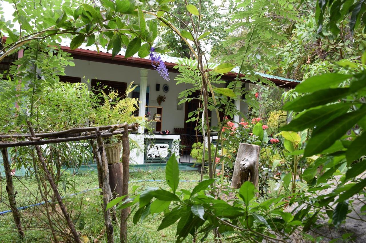 סיגירייה Sigiri Saman Home Stay מראה חיצוני תמונה