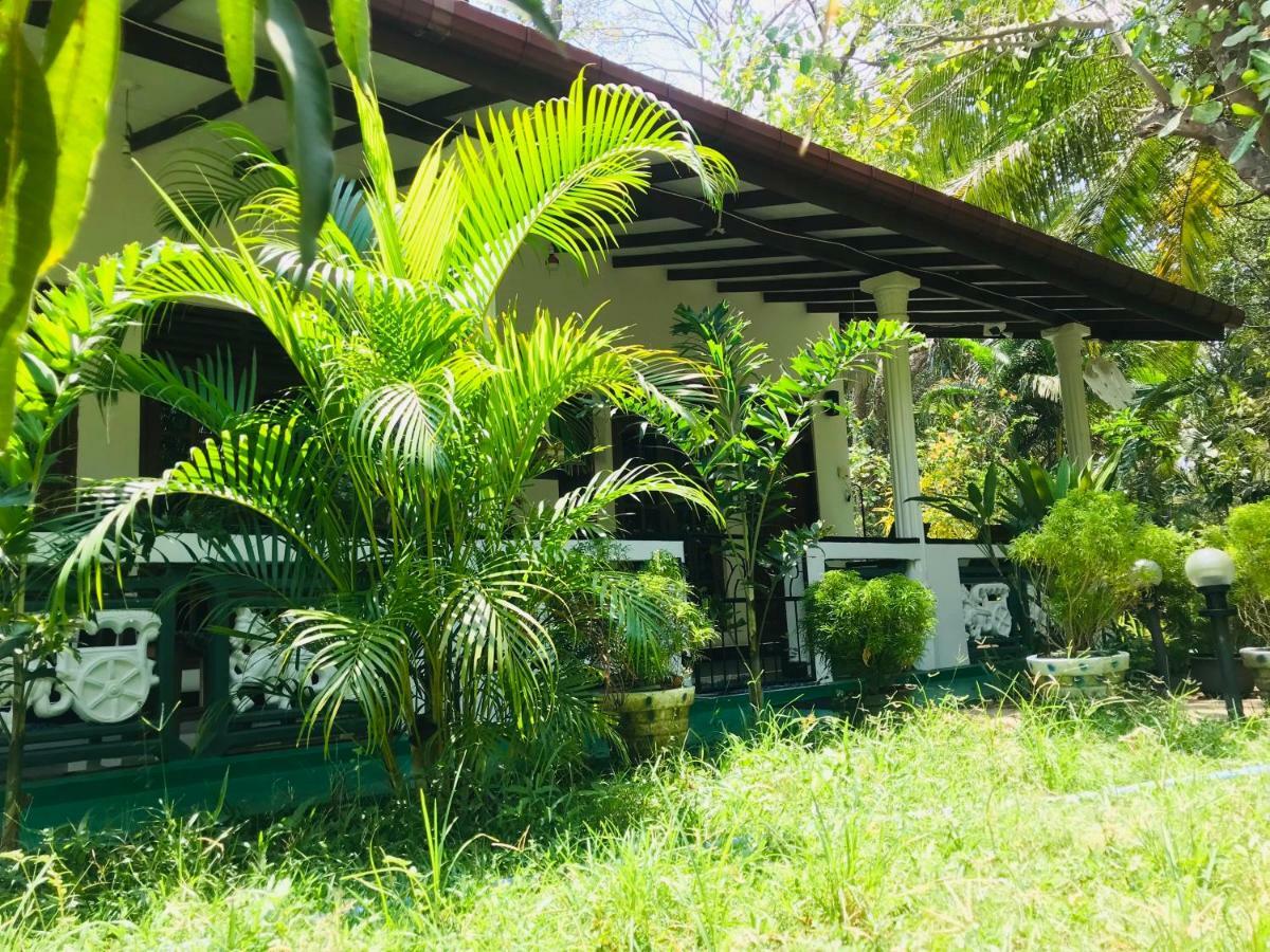 סיגירייה Sigiri Saman Home Stay מראה חיצוני תמונה